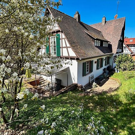 Ferienwohnung Am Keschtebaum, 70Qm Sasbachwalden Eksteriør bilde