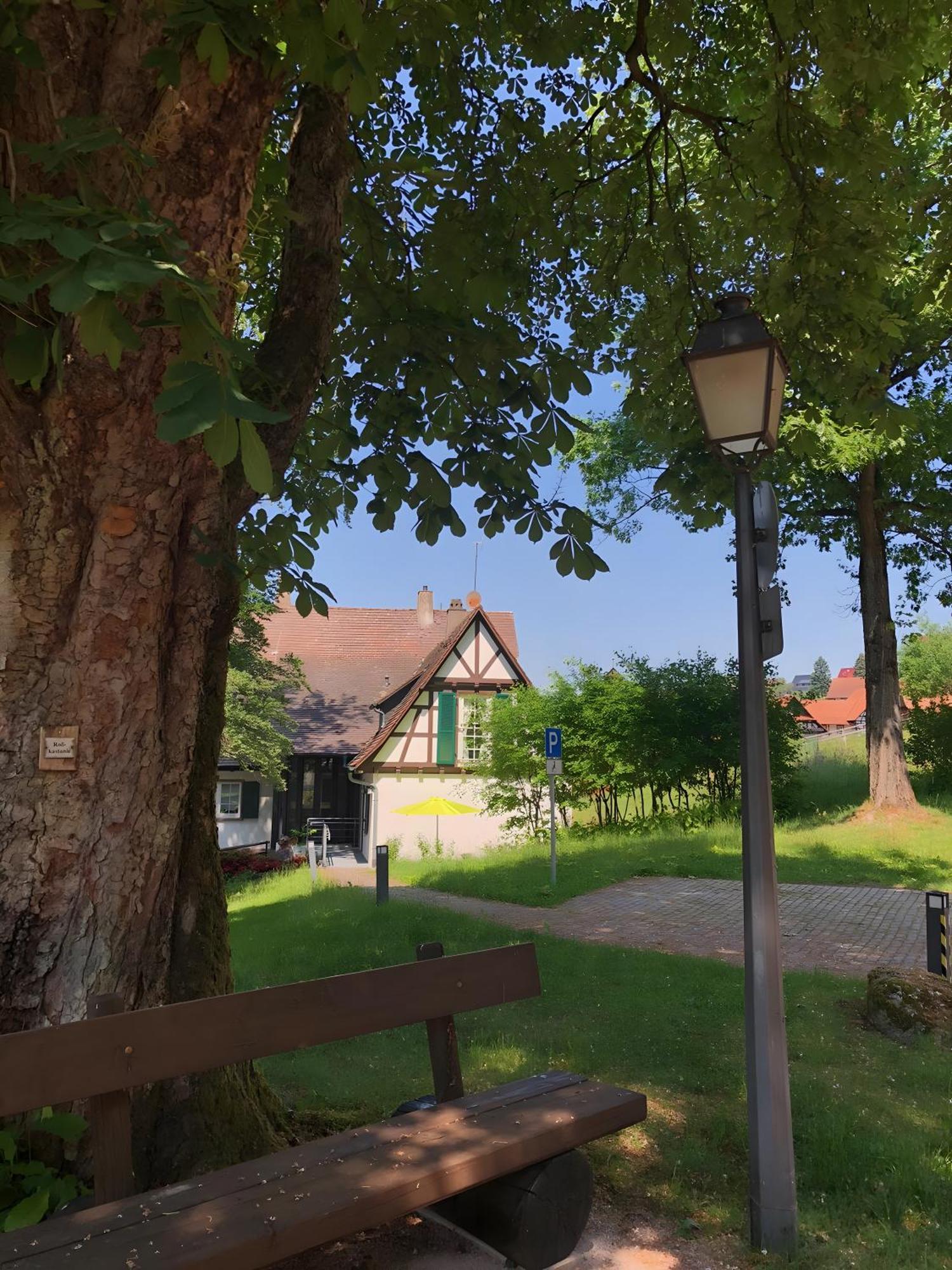 Ferienwohnung Am Keschtebaum, 70Qm Sasbachwalden Eksteriør bilde